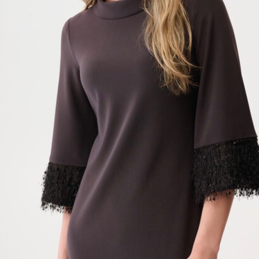Joseph Ribkoff 253054 F25 Brown Dress